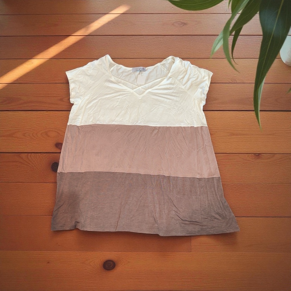 Celeste Women's V-Neck Colorblock Tee  NWT (1X)